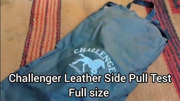 Challenger Horse Wear Full size Leather SidePull test - which horse does it fit and exercises