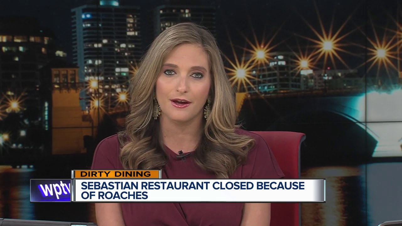 vero beach weather DIRTY DINING: Roaches, flying insects temporarily close Sebastian restaurant