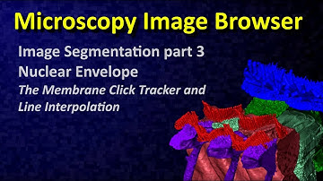 MIB: Image Segmentation tutorial 3: membrane tracker and line interpolation