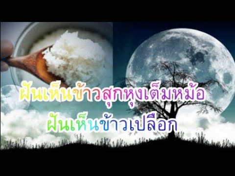 ฝันเห็นข้าวสุกหุกเต็มหม้อ ฝันเห็นข้าวเปลือก ทำนายฝัน