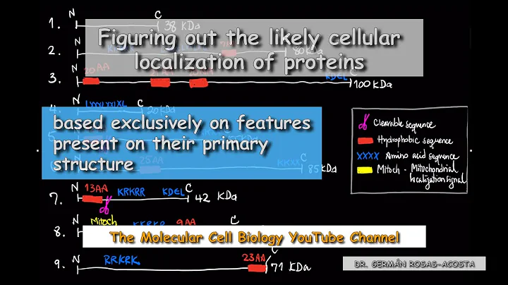 Figuring out the likely cellular localization of proteins - DayDayNews