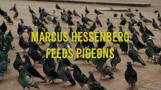 Flying rats!!! MARCUS HESSENBERG FEEDS THE PIGEONS (A short film about why I like pigeons.)