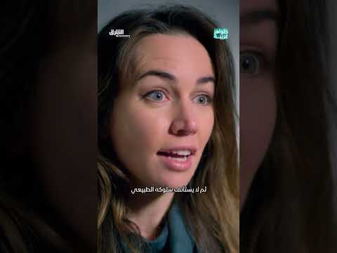 قدرة نمل الخشب الأحمر على التنبؤ بالزلازل