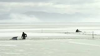 23 Jusankosan Yamato Shijimi