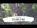 Ecolinkbke  highlights
