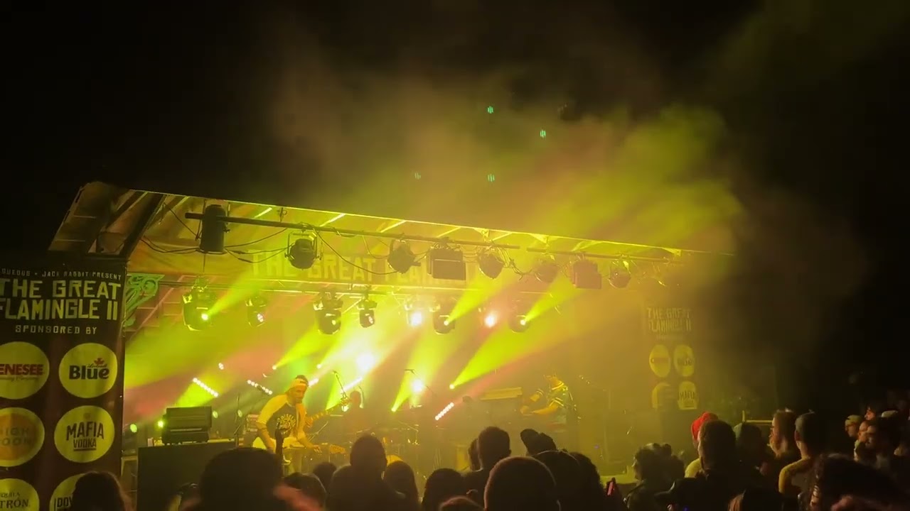 Aqueous live! At the Great Flamingle II