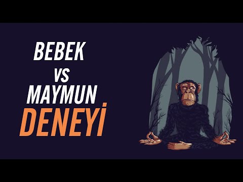 Bebek ve Maymun Karşılaştırması Deneyi