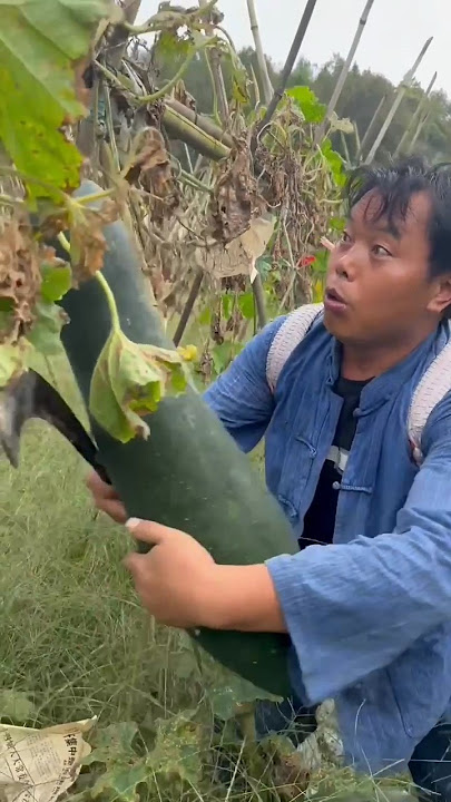 RT 4040441558 mini rotary tillage and ridging all-in one tree 🌲 short view