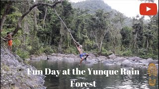 El Yunque Rainforest.