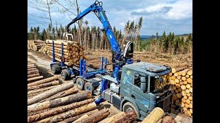 🌲*SCANIA-Clip* • Scania R540 • LoggingTruck • Timbertruck • Mause Holz-Transporte • Action • Part-3🌲