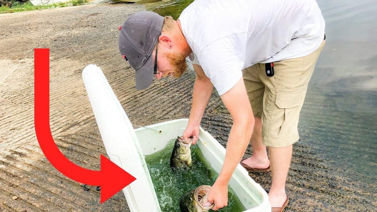 He KILLED IT || Jon Boat Bass Fishing Tournament || JIGS ALL DAY?!