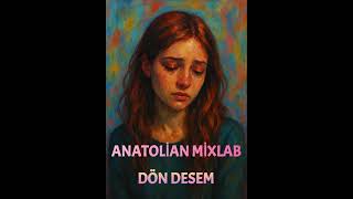 Dön Desem-Anatolian Mixlab
