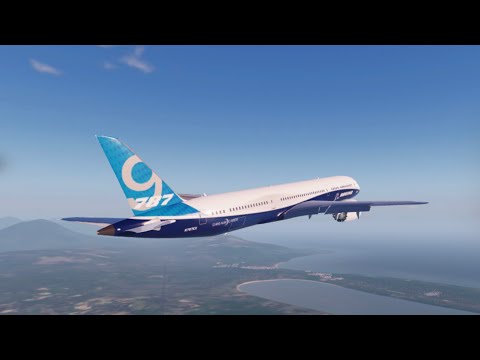 Butter landing at Punta Cana in Project Flight |Boing 787