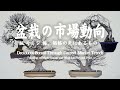 現在の市場動向から見る雑木盆栽~モミジ・楓を中心に、価格の先にあるもの~