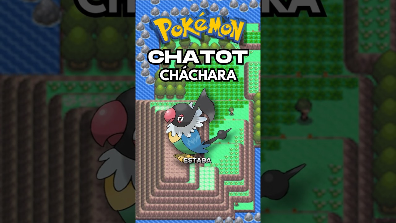 Chatot estaba roto en Pokémon competitivo 🎵  
