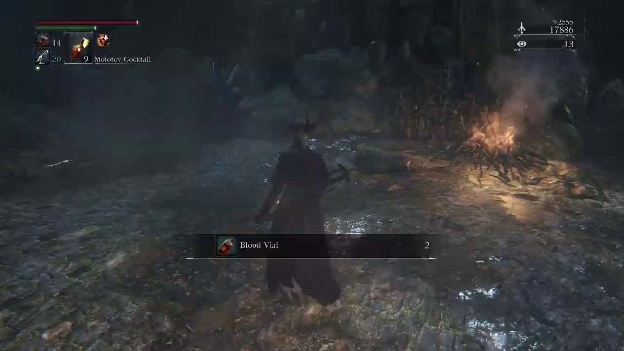 DesolatiionAngel's Bloodborne