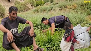 Jahanbakhsh and Yalda's journey to the old man's paradise garden watering thetreespicking green hay