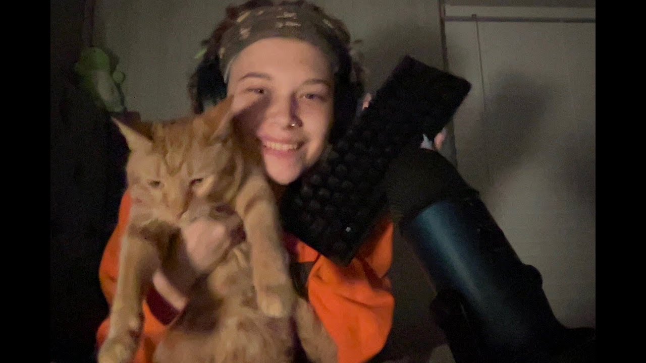 asmr computer sounds and cat tingles