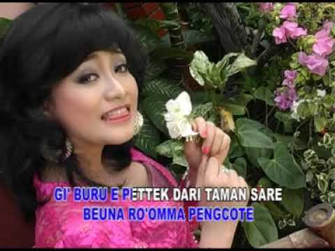 KEMBANG MALATEH POTE