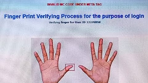Morpho Device   Invalid mc code under meta tag   How to resolved this issue for all Banks.