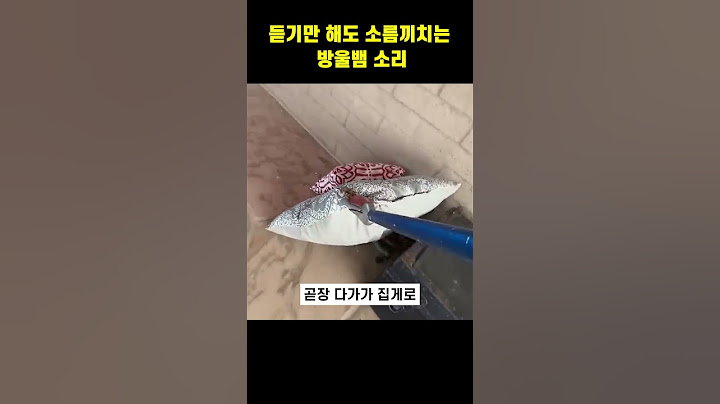 듣기만 해도 소름끼치는 방울뱀 소리