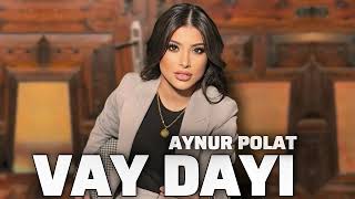 Aynur Polat - Vay Dayı (Remix) Resimi
