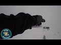 Michigan troopers rescue horse in blizzard | bodycam video