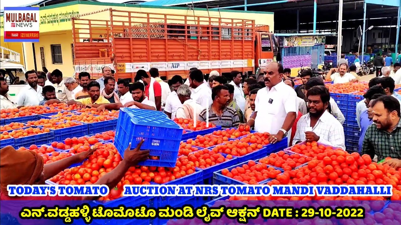 today's tomato rate at N.VADDAHALLI NRS tomato Mandi AUCTION 29102022