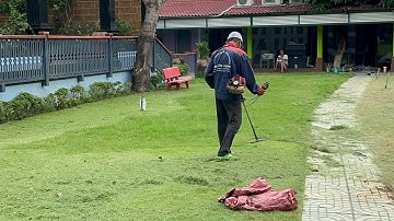 Cắt cỏ nhung nhật. Dọn dẹp vệ sinh sân vườn. Dịch vụ cắt cỏ nhung nhật. Trồng cỏ nhung nhật.