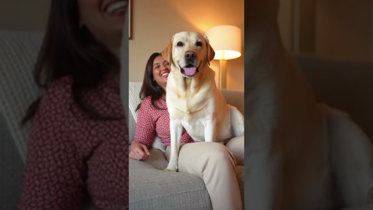 Watch this adorable dog master new tricks fast 