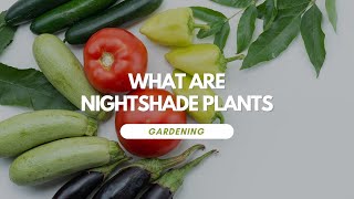 Download Lagu What Are Nightshade Plants MP3