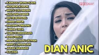 DIAN ANIC KANGGO WONG KAEN FULL ALBUM ||