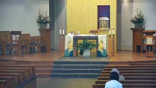 Daily Rosary/Mass/Novena