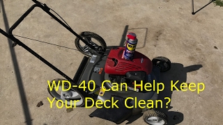 Wd40 for Mower Rust Prevention