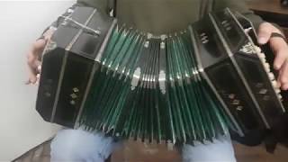 Bandoneon AA bandonion 1958 Zinc Reeds Plates Unique unopened from the factory