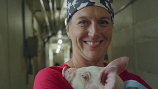 Celebrity Tyson Fresh Meats Pork Production – From Farm to Fork Profile