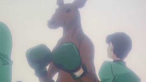 Nanami VS Kangaroo