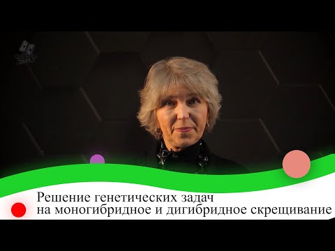 Решение генетических задач на моногибридное и дигибридное скрещивание. 9 класс.