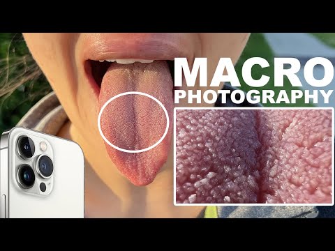 Macro Photography on the iPhone 13 Pro Max
