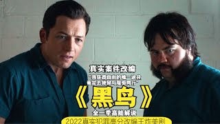 男子被判入狱10年，唯一自由的方法是去精神病院跟“魔鬼”套话。。。2022真实犯罪改编王炸高分美剧《黑鸟 Black Bird》全一季高能解说