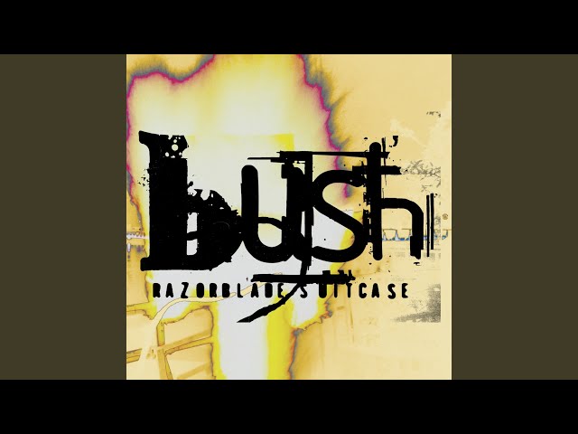 Bush - Old