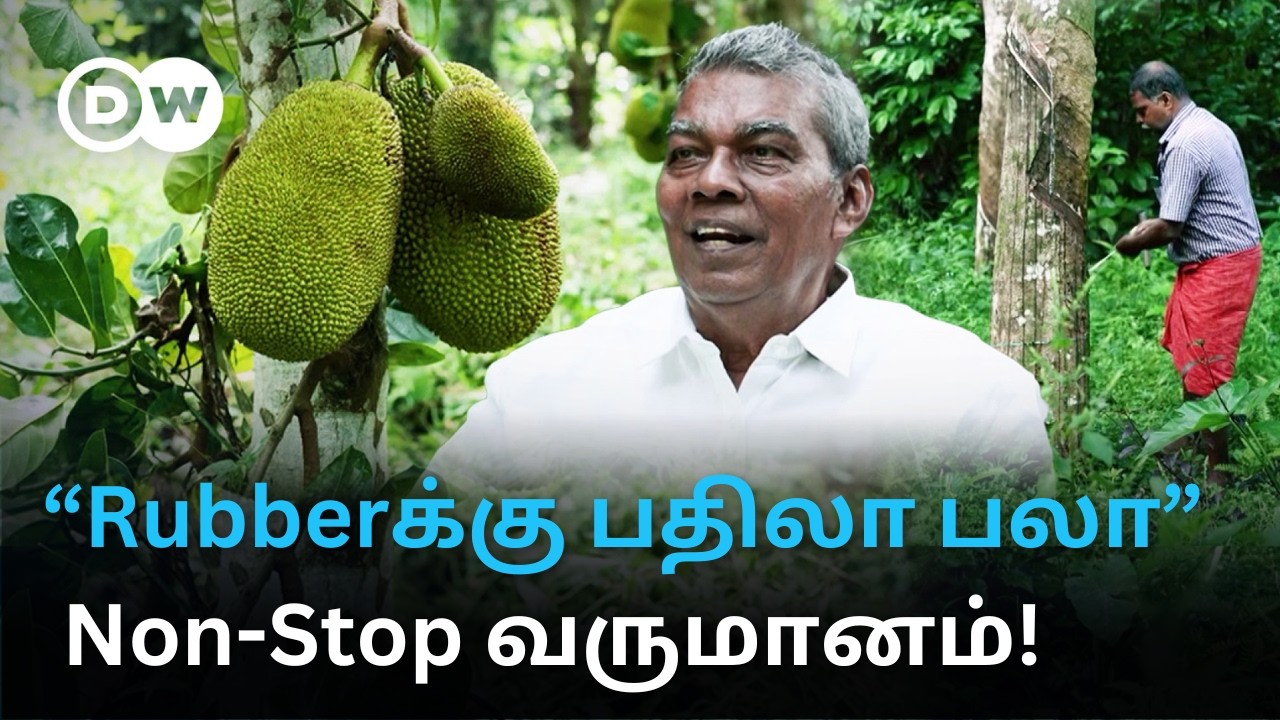 "Rubberஐ விட பலாப் பழத்தில் Profit” - Routeஐ மாற்றிய Kerala Farmers; கை கொடுத்ததா புதிய மாற்றம்?