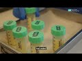 Human Milk Bank