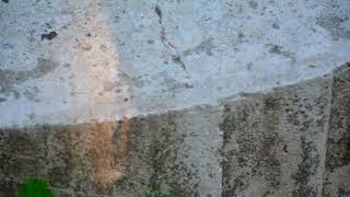 The Universe Of Pictures, Part 2, With Motion (Fragments, Part 1 793)