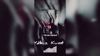 Yalnız Kurt