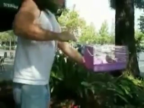 The Bird Whisperer-Michael Cox-The Baby Bird