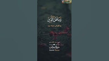 قل أرأيتم ما أنزل الله لكم من رزق فجعلتم منه حراما وحلالا قل آلله أذن لكم سورة يونس سعد الغامدي