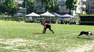 Vanessa Fanelli And Levy Usddn Round 2 Castrocaro Terme