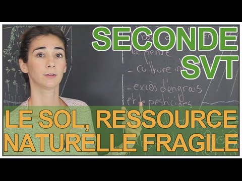 Vidéo: Les sols en pente sont-ils mauvais ?