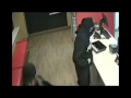 Armed Robbery--Domino's Pizza--3139 N. Oakland Avenue